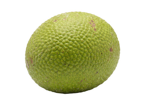 Breadfruit isolated on white bac