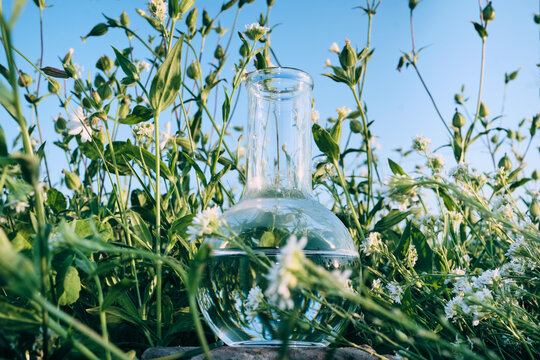 Glass laboratory flask with liquid among wildflowers under blue sky