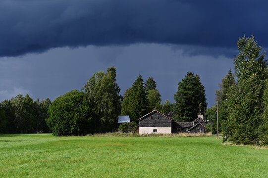 Rural landscape with an old traditional wooden farm building standing beside a green meadow and surrounded by birch and coniferous trees