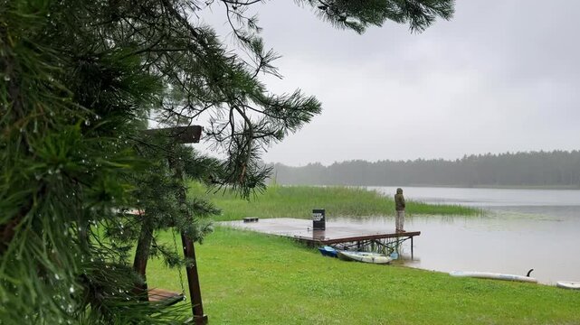 Wooden pier glimpsed through hanging tree branches by a lake. Wet foliage frames a calm shoreline on a rainy day. Peaceful nature scene shot from beneath the trees..