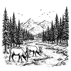 Obraz premium Black and white line of two elk grazing by a flowing river in a pine forest with tall mountains in the background scenery