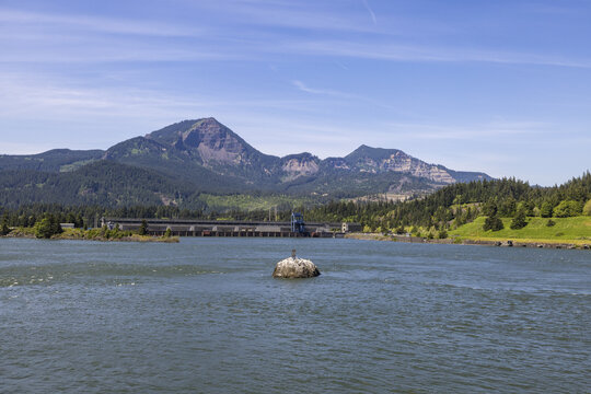 View of Bonneville Dam on the Columbia River with mountains in the background under a blue sky in Cascade Locks, Oregon, United States.