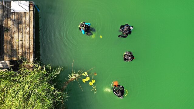 Aerial view of scuba divers in the green water of Scharmutzelsee near a wooden pier and reeds in Bad Saarow, Brandenburg, Germany.
