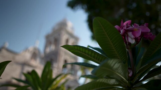 Sunrise shines on the Mission church in Loreto, Baja California Sur. Flowers and plants are in focus.