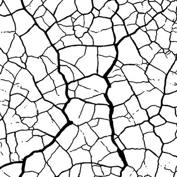 Abstract Black and White Dense Cracked Ground Fissure Line Texture.