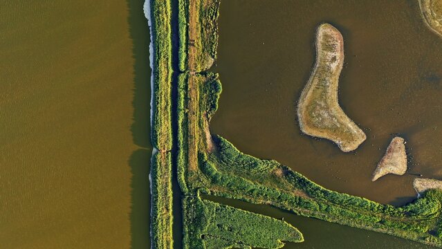 Aerial view of Wallnau Waterbird Reserve featuring lush green vegetation, narrow dikes, and small islands surrounded by calm water in Fehmarn, Schleswig-Holstein, Germany.