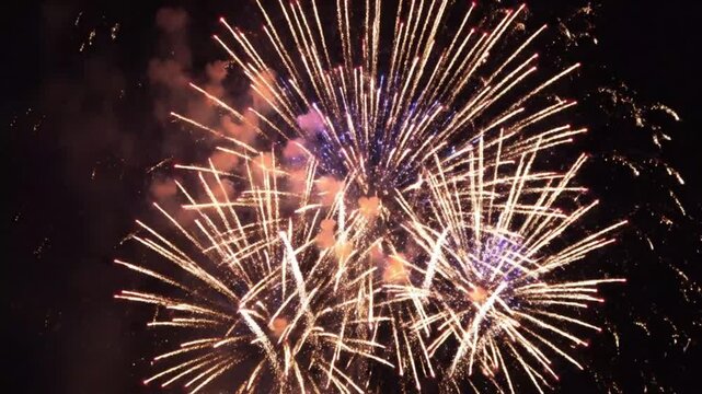 Colorful fireworks exploding in dark night sky