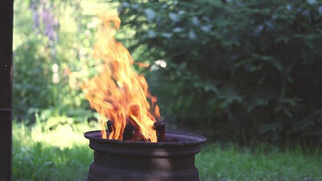 Burning firewood with bright flames in metal fire pit outdoors in summer daylight
