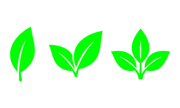 Green Leaf icon Set, Minimal Nature Plant leaves Logo Collection, Modern Symbol Set of Single one, two and three Fresh Organic Leaves Vector isolated on Transparent Png White background
