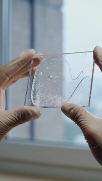 Vertical video: Lifting gloved hands tilting, inspecting clear sample at window, showing bubbles