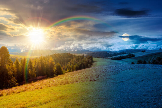 hillside of mountain range with coniferous forest and meadow. day meet night. sun and moon over spruce trees on the green grassy hill. Carpathian countryside on autumn equinox. astrology wallpaper