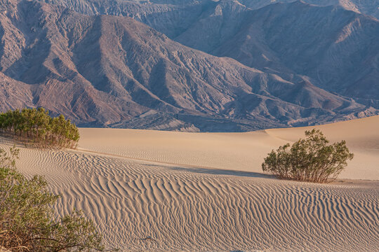 Beautiful scenic panorama of Mesquite Flat Sand Dunes and Panamint mountains