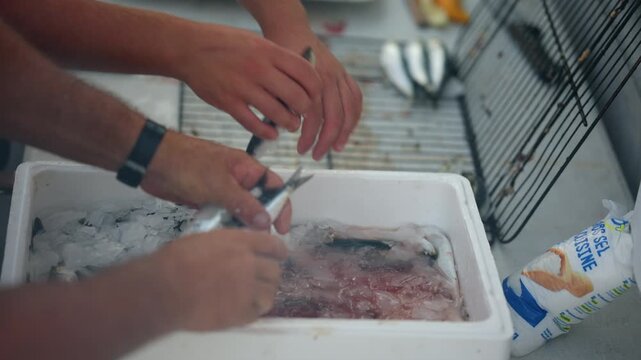 Fisherman handling fresh fish and ice in a polystyrene box, with a bag of cooking salt nearby, ensuring proper seafood preservation