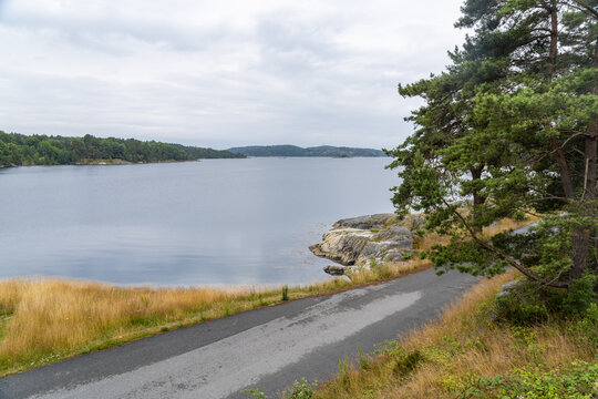 View of a coastal road winding along the rocky shoreline with pine trees and calm water under a cloudy sky in Lillesand, Agder, Norway.
