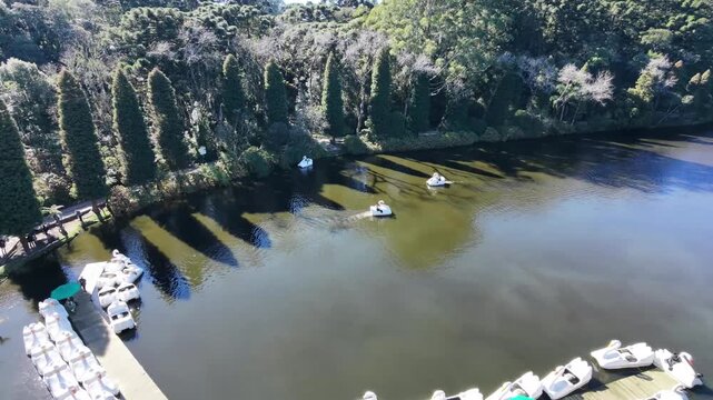 Aerial view of Lago Negro featuring swan pedal boats on the water, surrounded by tall pine trees and lush greenery in Gramado, Rio Grande do Sul, Brazil.