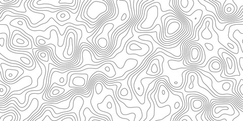 Fototapeta premium Minimal topographic relief line background, abstract detailed elevation lines with organic curves, for banner, presentation and cover.