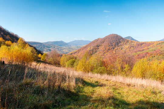 countryside landscape in mountains. beautiful view of carpathians with meadows rolling through forested hills. wonderful weather in autumn. deciduous trees in colorful foliage