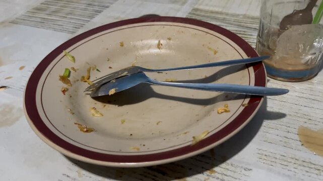 Dirty plate with cutlery and empty glass after meal