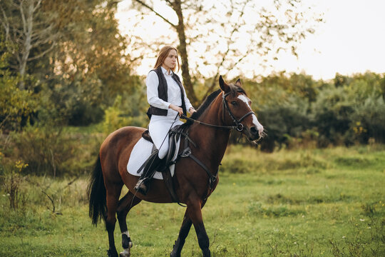 Young beautiful blonde woman jockey rides a brown horse in a meadow at sunset in summer. Preparing for an equestrian competition.