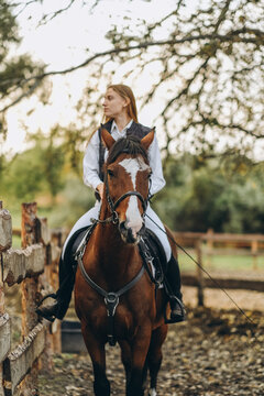 A young female jockey is sitting on her horse in show jumping training. Preparing for the competition.