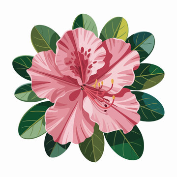 Pink azalea flower blooming with green leaves in flat vector illustration for spring designs