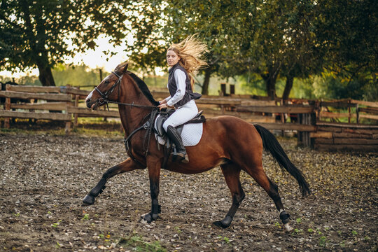 A young beautiful woman jockey is preparing for a show jumping competition. A woman rider rides a brown racehorse.