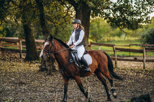 A young beautiful woman jockey is preparing for a show jumping competition. A woman rider rides a brown racehorse.