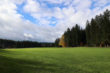 Naklejka premium Large, open field with a few trees in the background