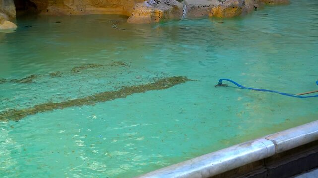 Rome, Italy. Cleaning up thrown coins into the fountain. Trevi Fountain - Sculptural fountain in the Rococo style, built by N. Salvi in 1762. Summer day