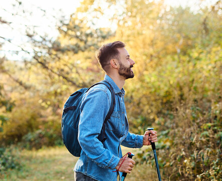 Hiking man enjoys nature with trekking poles in a lush forest during a sunny day