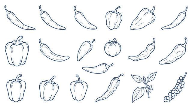 Hand drawn chili and bell pepper line art vector icon set