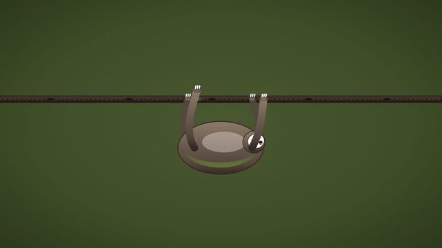 Cute sloth hanging upside down on a branch against a solid green background