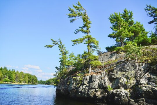 Scenic Georgian Bay Ontario Granite shoreline and Windswept Pine trees