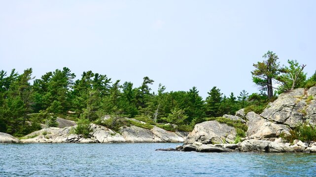 Scenic Georgian Bay Ontario Granite shoreline and Windswept Pine trees