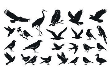 Naklejka premium Set of diverse bird silhouettes vector illustration isolated on white background