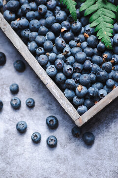 Fresh blueberry snack in rustic wooden box with fern