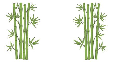 Obraz premium Green bamboo stalks with fresh leaves arranged on the sides of a white background creating a natural border frame.