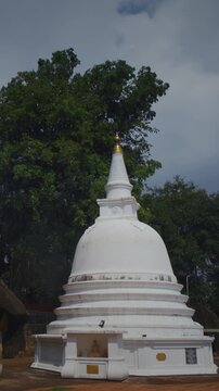 Majestic Buddha Statue Beside White Stupa in Serenity