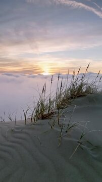 Vertical video: Panning camera over beach dune, capturing dawn sun lighting grass and rippled sand