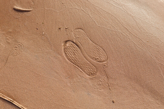 Shoe footprint on wet sand at a quiet beach