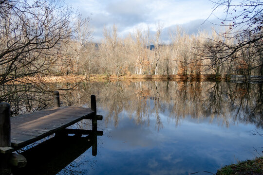 Wooden pier over reflective pond in Bosque Finlandes