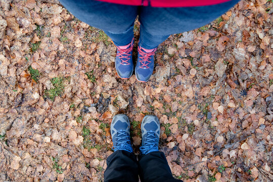Two hikers stand on a leaf-covered forest trail