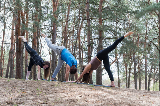 Two women and a man practice three legged downward dog yoga pose on exercise mats outdoors in a pine forest, stretching and balancing with one leg raised.