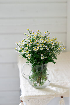 Chamomile flower bouquet in a glass pitcher on table