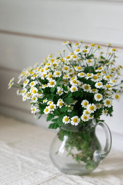 White daisy bouquet in a clear glass pitcher