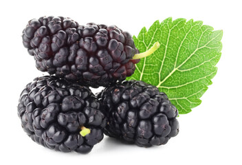Fresh mulberries with green leaf isolated on white © New Africa