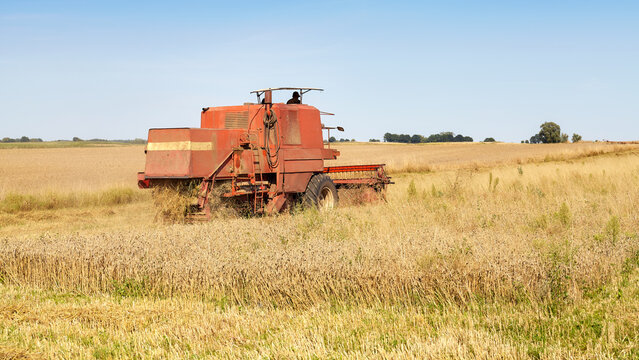 Combine harvesting wheat on a sunny summer day.