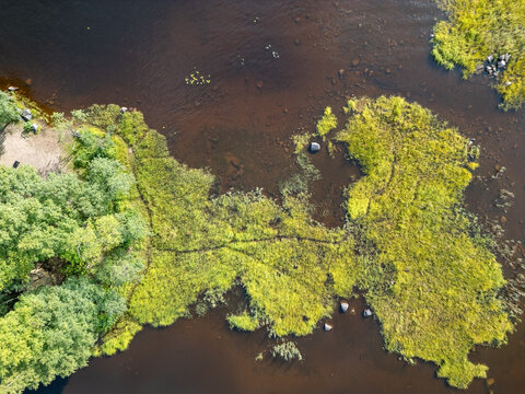 Aerial view of the Oulujoki river delta featuring lush green wetlands, dark water, and dense forest foliage in Oulu, North Ostrobothnia, Finland.