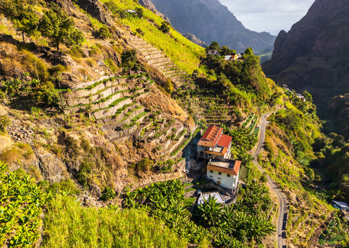 Aerial view of the terraced agricultural fields and lush green slopes of Santo Antao, featuring traditional houses nestled in the valley of Faja de Cima, Paul, Cabo Verde.