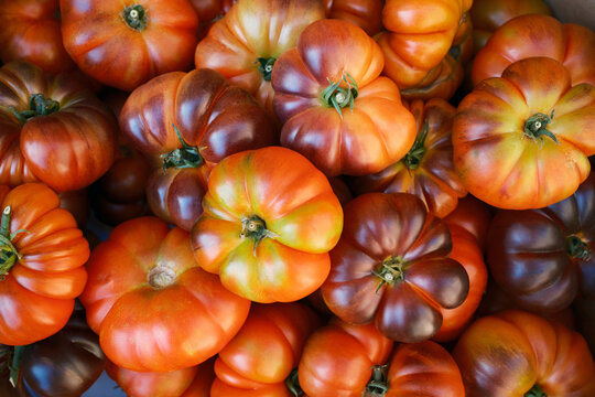 Heirloom tomato harvest from Mura village market
